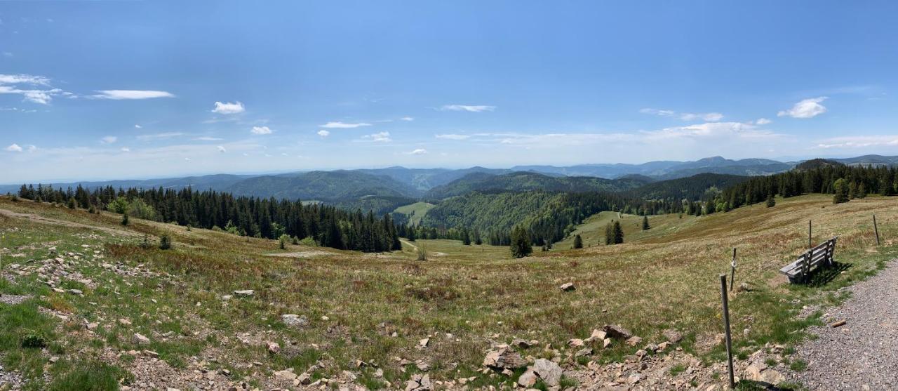 Apartmán Feldberg Lounge - Residenz Grafenmatt Exteriér fotografie